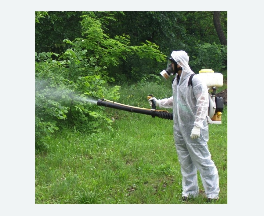 обработка территории от клещей в Белореченске