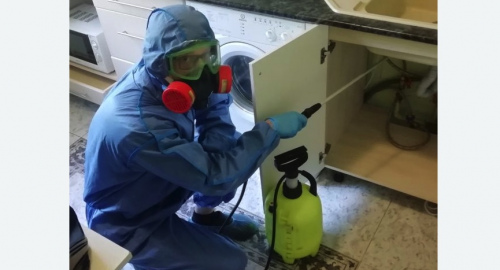 Уничтожение муравьев в квартире. Белореченск
