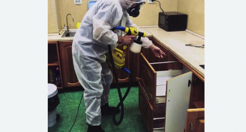 Уничтожение насекомых в квартире. Белореченск