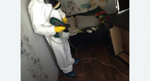 Обработка квартир от насекомых в Белореченске