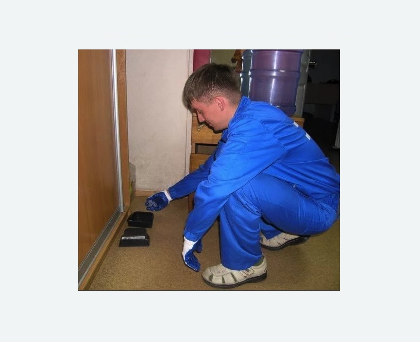 Дератизация крыс в Белореченске