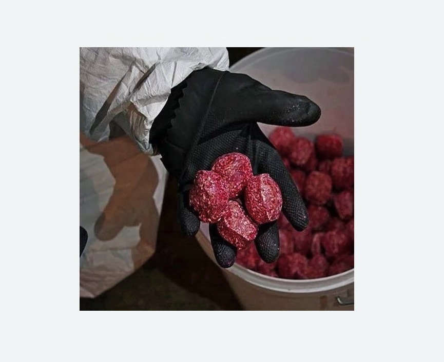 Обработка от крыс в Белореченске