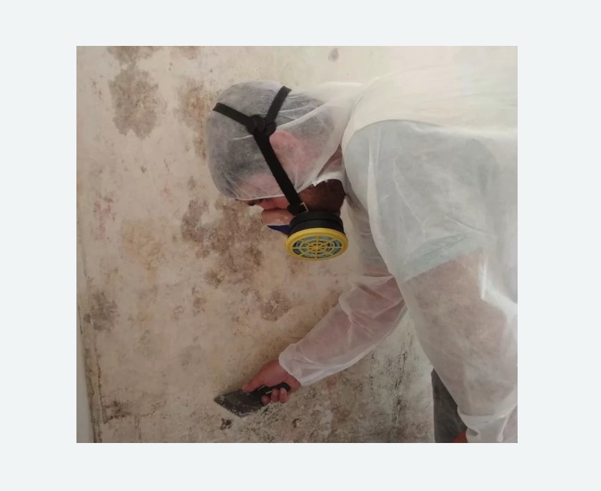 Обработка стен от плесени в Белореченске