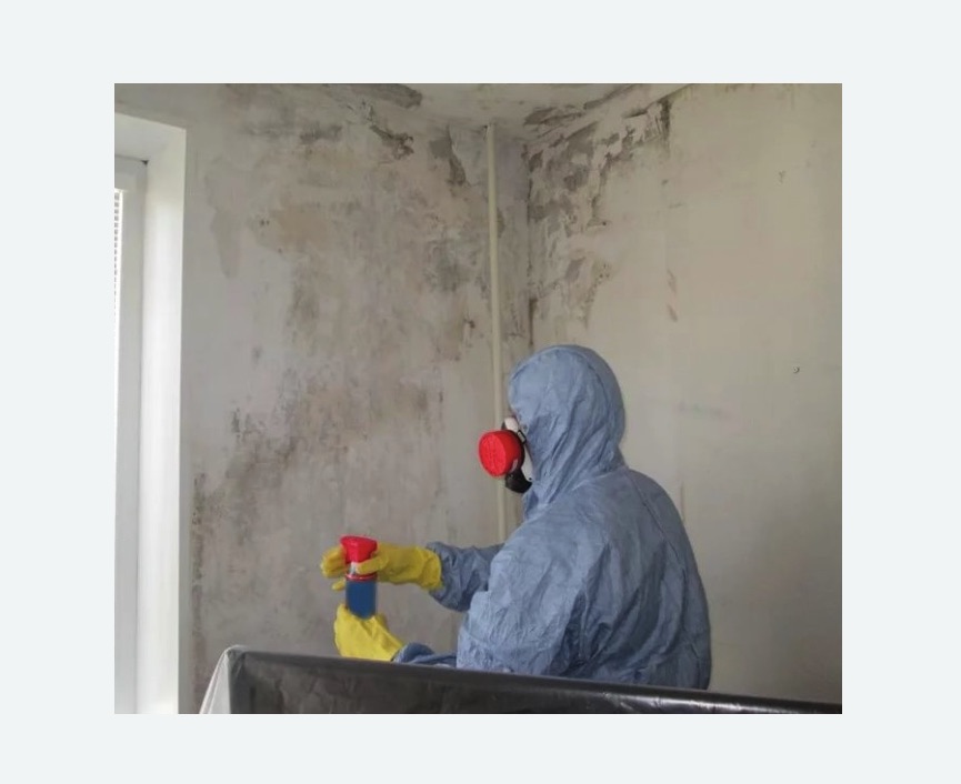 Удаление плесени в квартире в Белореченске