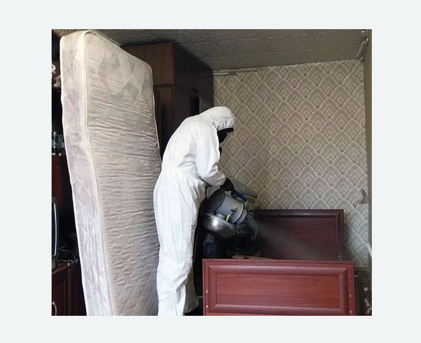 дезинфекция от клопов в Белореченске