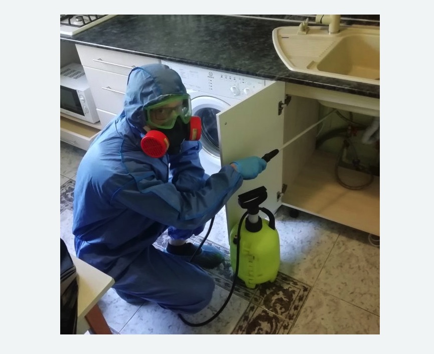 обработка от муравьев в квартире в Белореченске