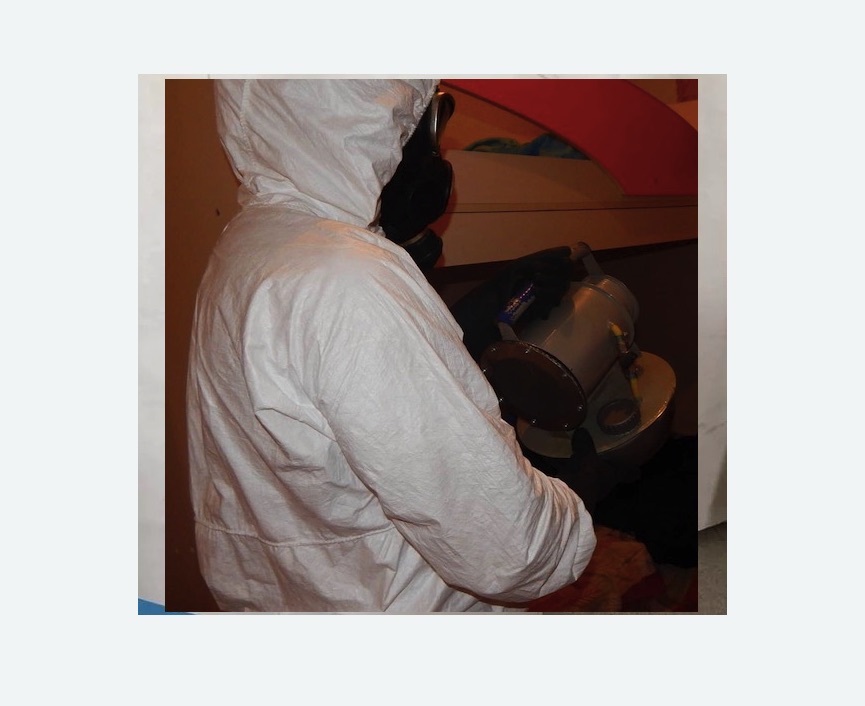 Дезинфекция от муравьев в Белореченске