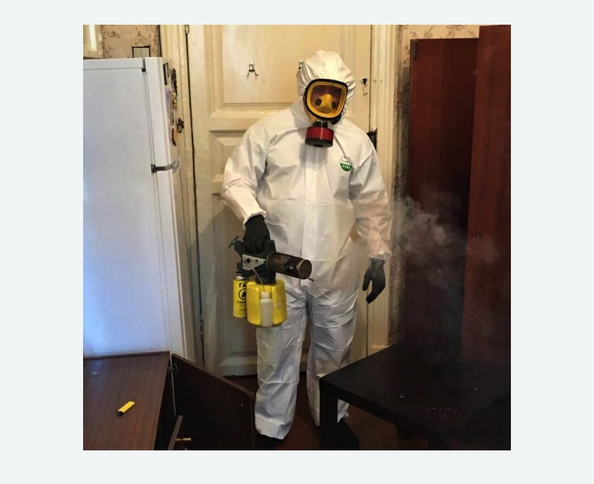 уничтожение муравьев в квартире в Белореченске